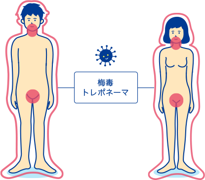 急増する梅毒、当事者の20代女性が語る“バラ疹”とまさかの再感染 最新治療の「筋肉注射」在庫切れのクリニックもTBS NEWS DIG4ページ