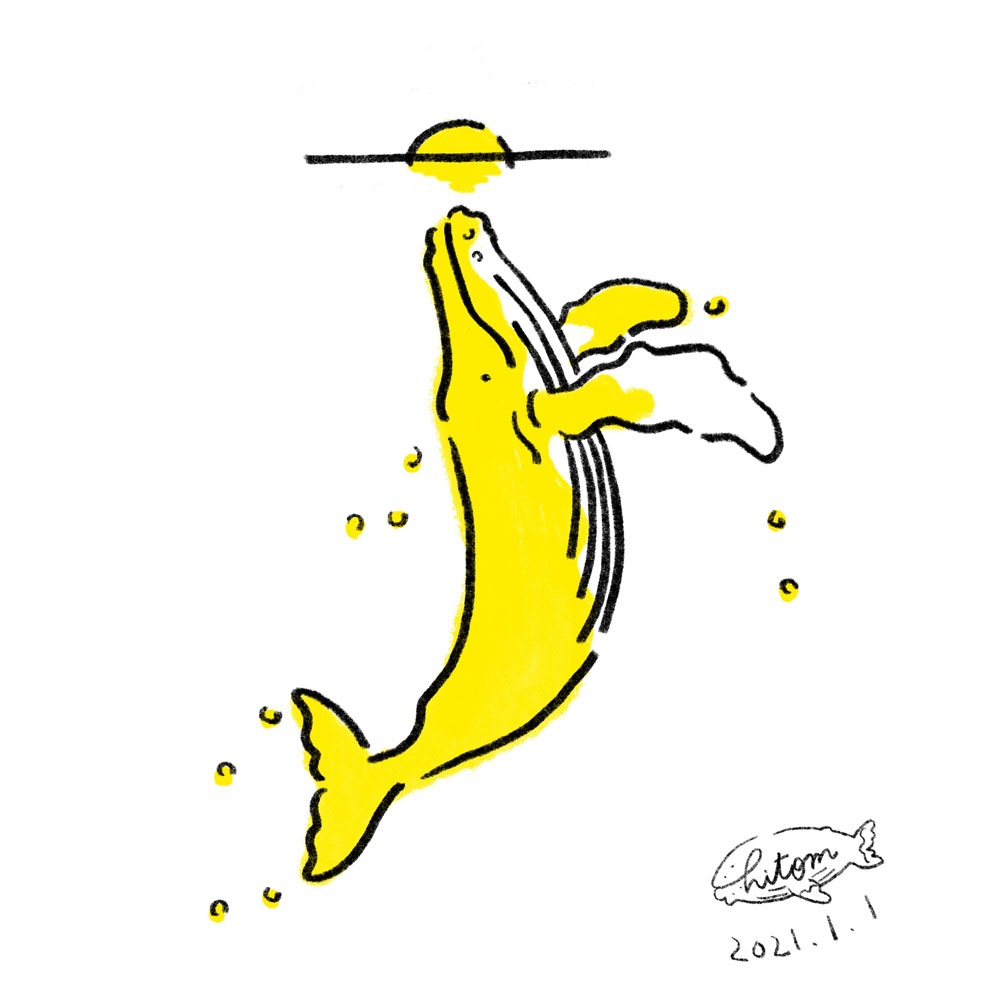 クジラ - Wikipedia