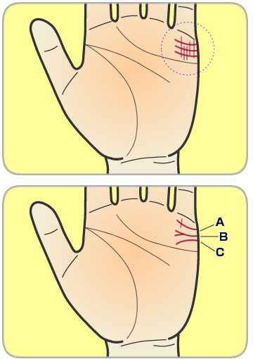 無料 - 手相占い：結婚線姓名判断の魂ゆら占い