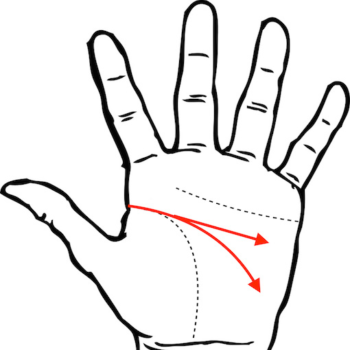 占い8月 倉敷にやにや手相 岡山の子育てママ集まれ！山陽新聞 LaLa Okayama ララおかやま