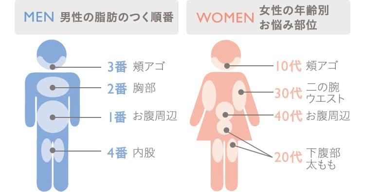 たった5日でウエスト-7cm 美くびれデザイン廣田 なお 本通販Amazon