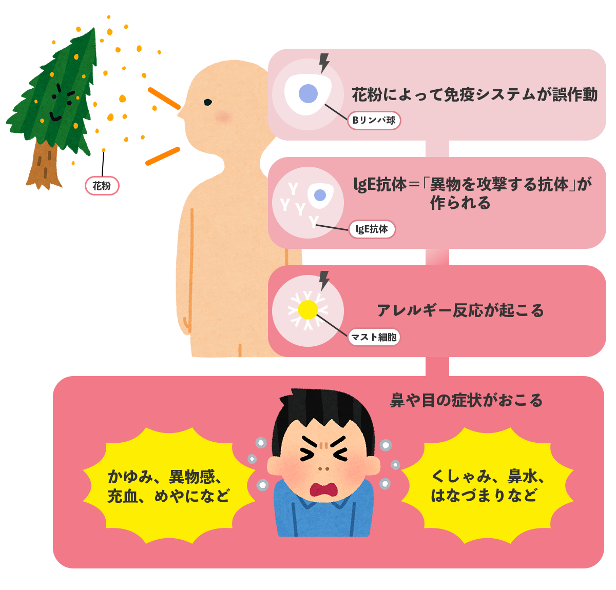 花粉症の人はなりやすい？急増する「ナッツアレルギー」とは？大久保公裕先生がやさしく解説NPO花粉症・鼻副鼻腔炎治療推進会