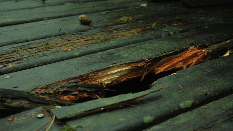 腐るウッドデッキが出来る理由ナチュラルガーデニングのアトリエタムロ