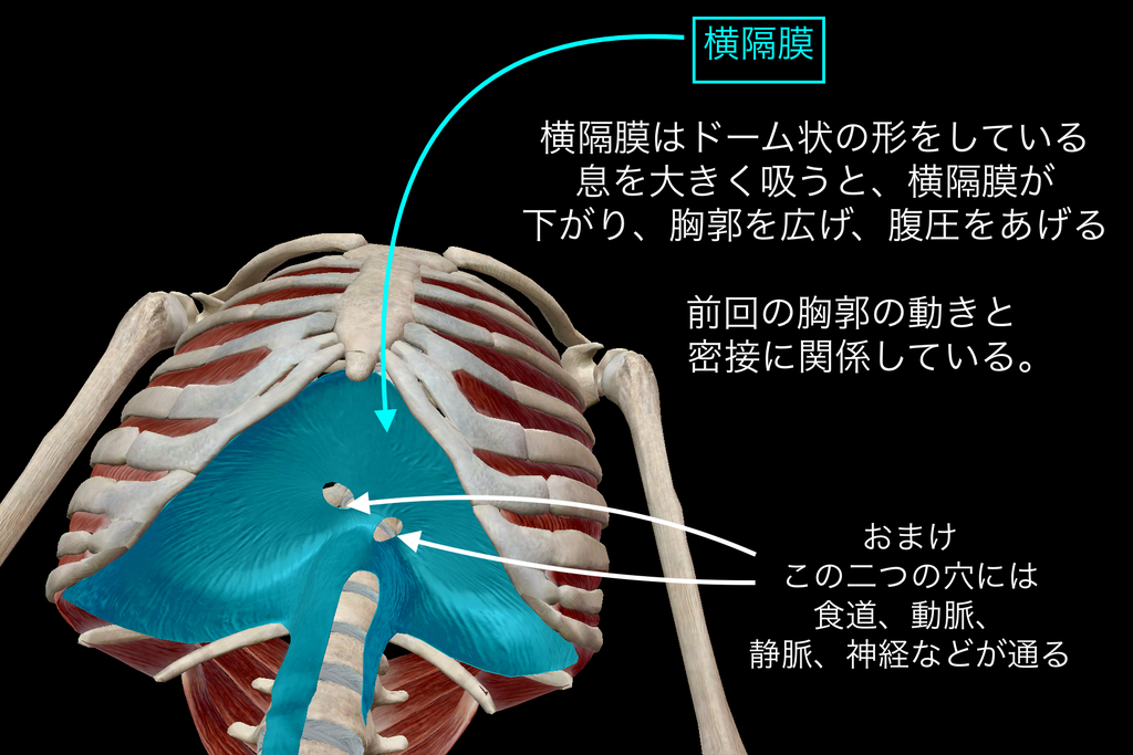 筋肉痛が少し残っているときの筋トレは逆効果？4日続く場合の対処法REAL WORKOUT