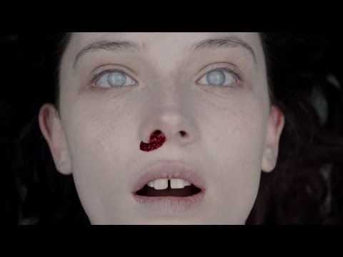 映画 人体の構造について チラシ フライヤー ５枚 - メルカリ