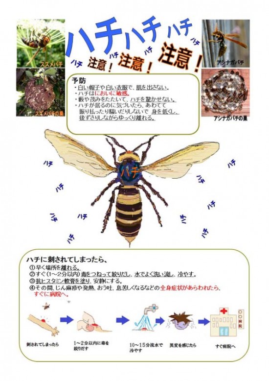 スズメバチ注意 無料テンプレート