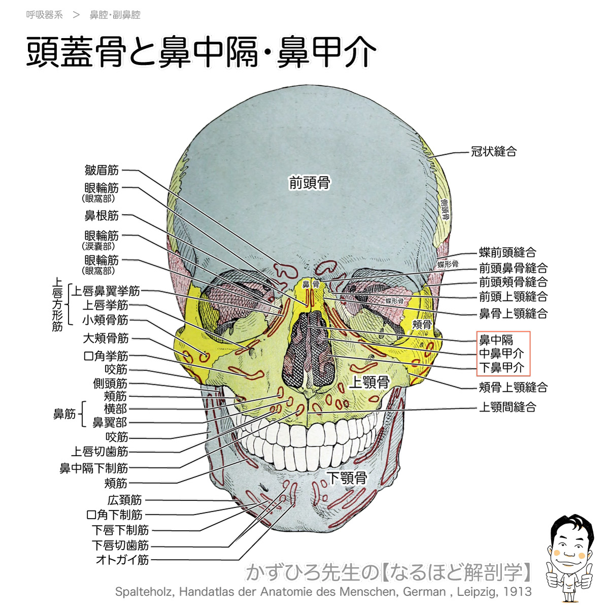 老けて見えるポイントとできる対応策NERO DOCTORBEAUTY 美容医療メディア
