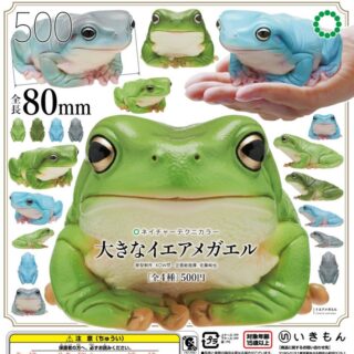 カエル ひざカックン かえる編宮本忠博の趣味ブログ