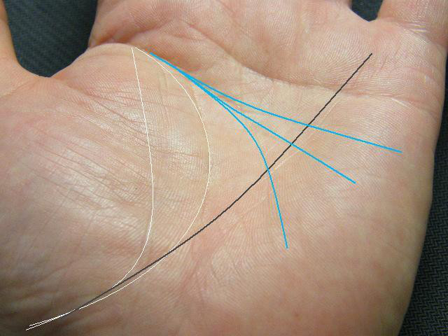 手相について。頭脳線が3本に枝分かれしていて、自分でもよく分からないので見て頂- Yahoo!知恵袋