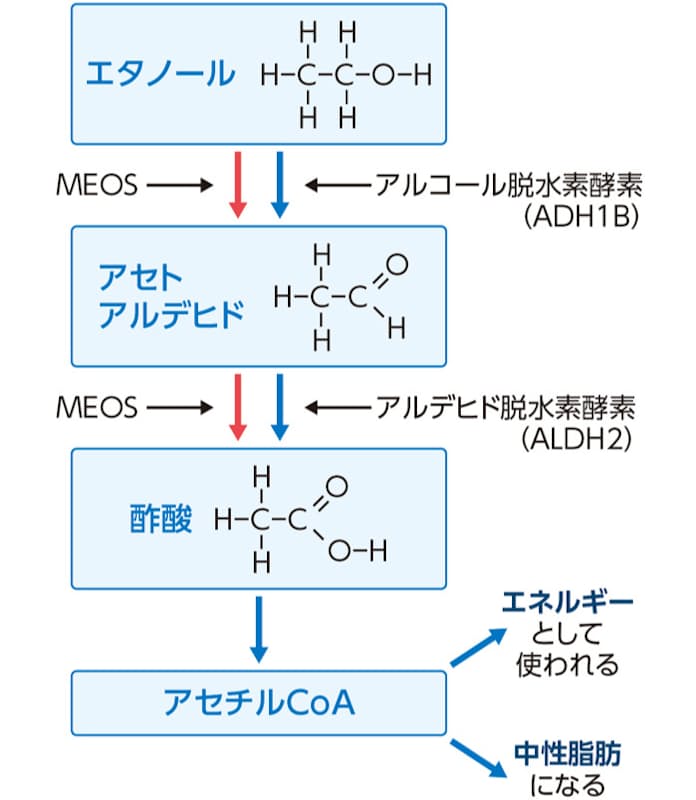 還元剤 アルデヒドの半反応式の作り方を徹底解説！塩基性条件の半反応式とは？化学受験テクニック塾