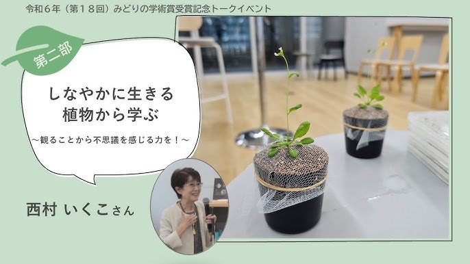 しなやか”に変化に対応し、運を拓く。水晶玉子が読み解く、2025年“開運キーワード”ビューティー、ファッション、エンタメ、占い 最新情報を毎日更新ananweb