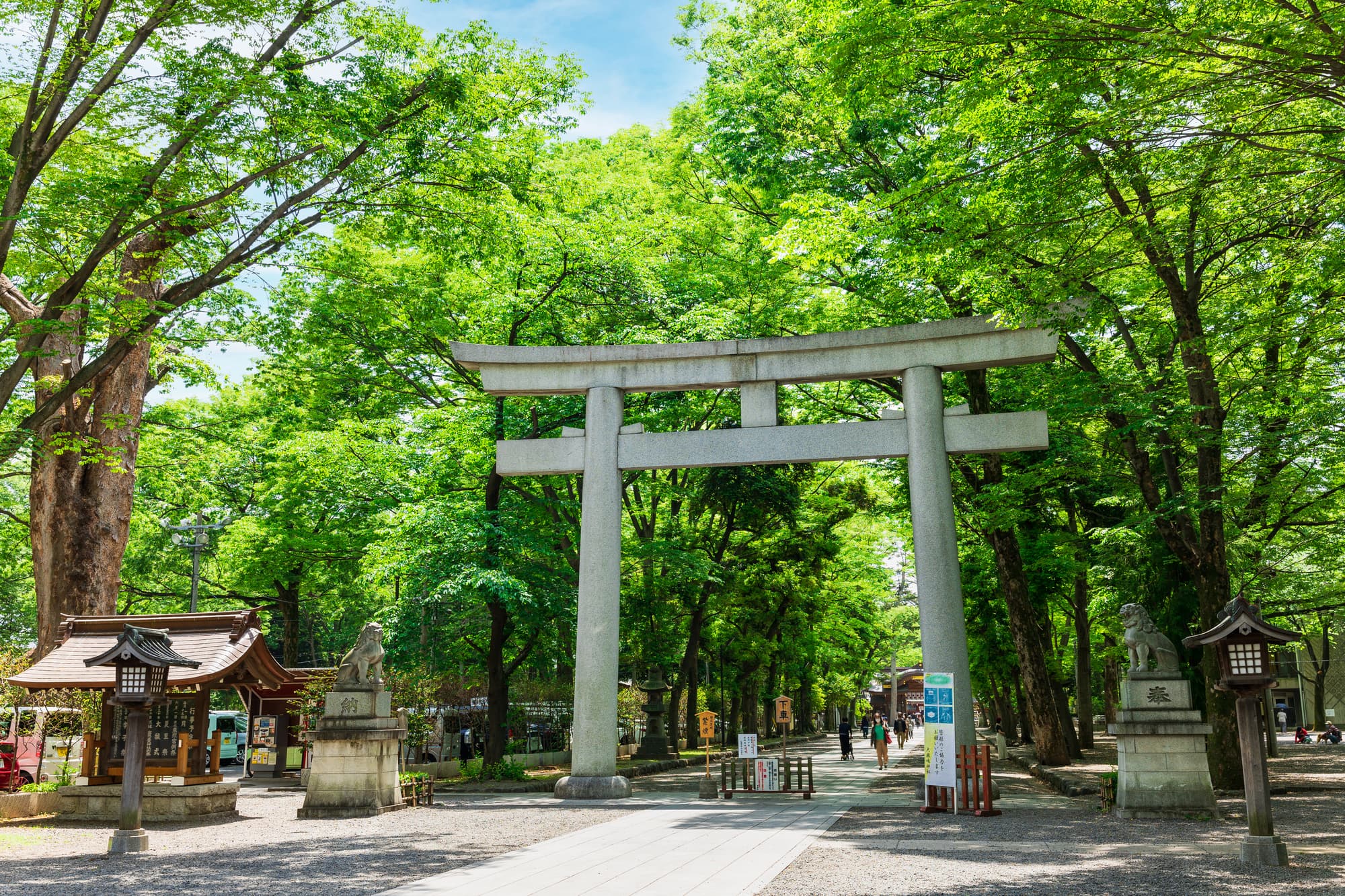 東京の最強病気平癒神社トップ10！効果絶大の神社ランキング