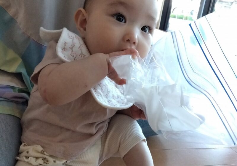 ひんやり冷たい氷遊び🧊 0歳児🦦- くじら小規模保育園