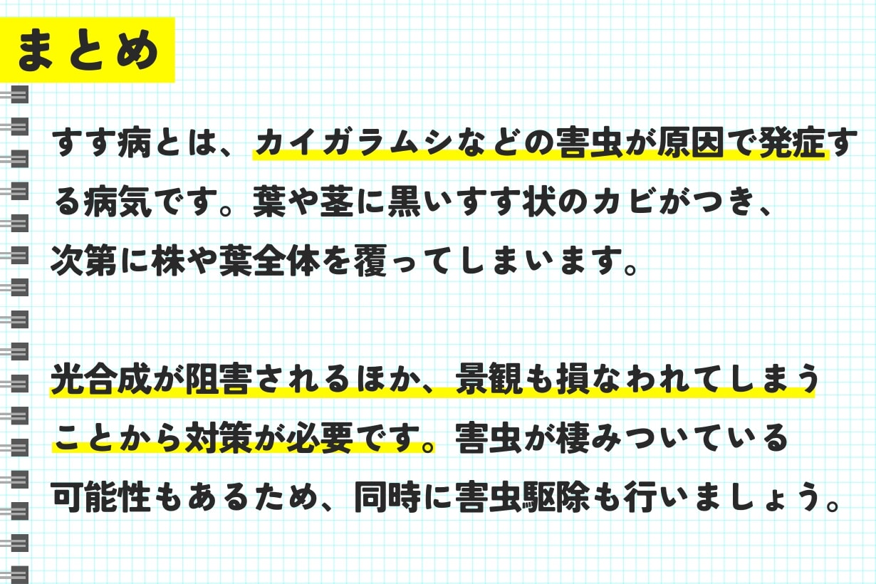すす病の原因と対策防除方法と使用薬剤 農薬 農業・ガーデニング・園芸・家庭菜園マガジン AGRI PICK