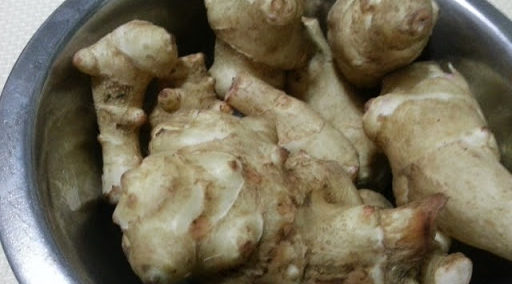 糖尿病・肥満は「きくいも」で改善!GEIBUN MOOKS松本雄一 本通販Amazon