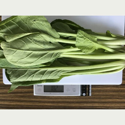 小松菜 - カロリー 栄養成分 計算カロリーSlism