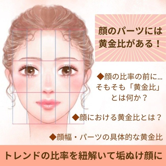 顔の黄金比率インフォメーション熊本の美容外科・美容整形のハニークリニック
