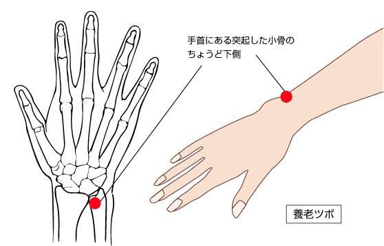 寝違えに効くツボ4選！正しく押して肩・首回りの不快感を改善しよう鍼灸院予約・検索サイト「健康にはり」