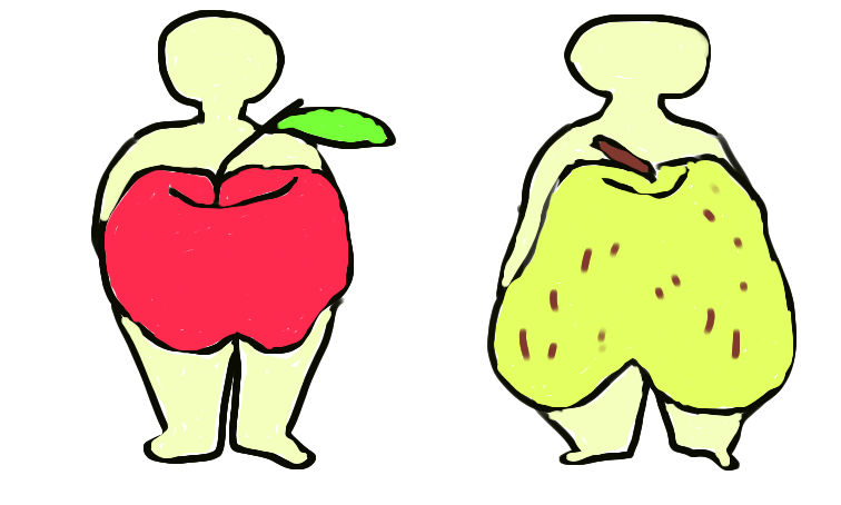 リンゴ型と洋梨型の肥満体型 イラスト素材2802831- フォトライブラリ