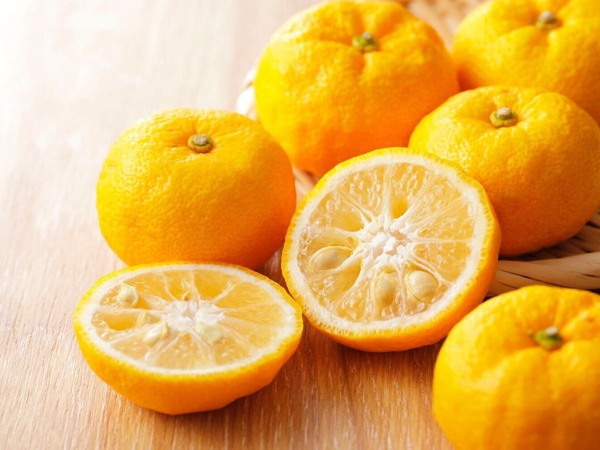 創健社 くしの農園 ゆずごしょう チューブ 30g 無添加や自然食品のお店