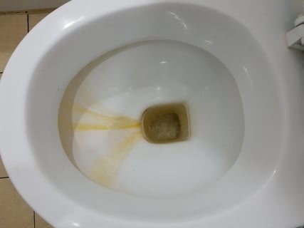 悩み解決 トイレの便座裏の黄ばみ落としにオススメな洗剤3選！茂木流掃除講座 茂木和哉