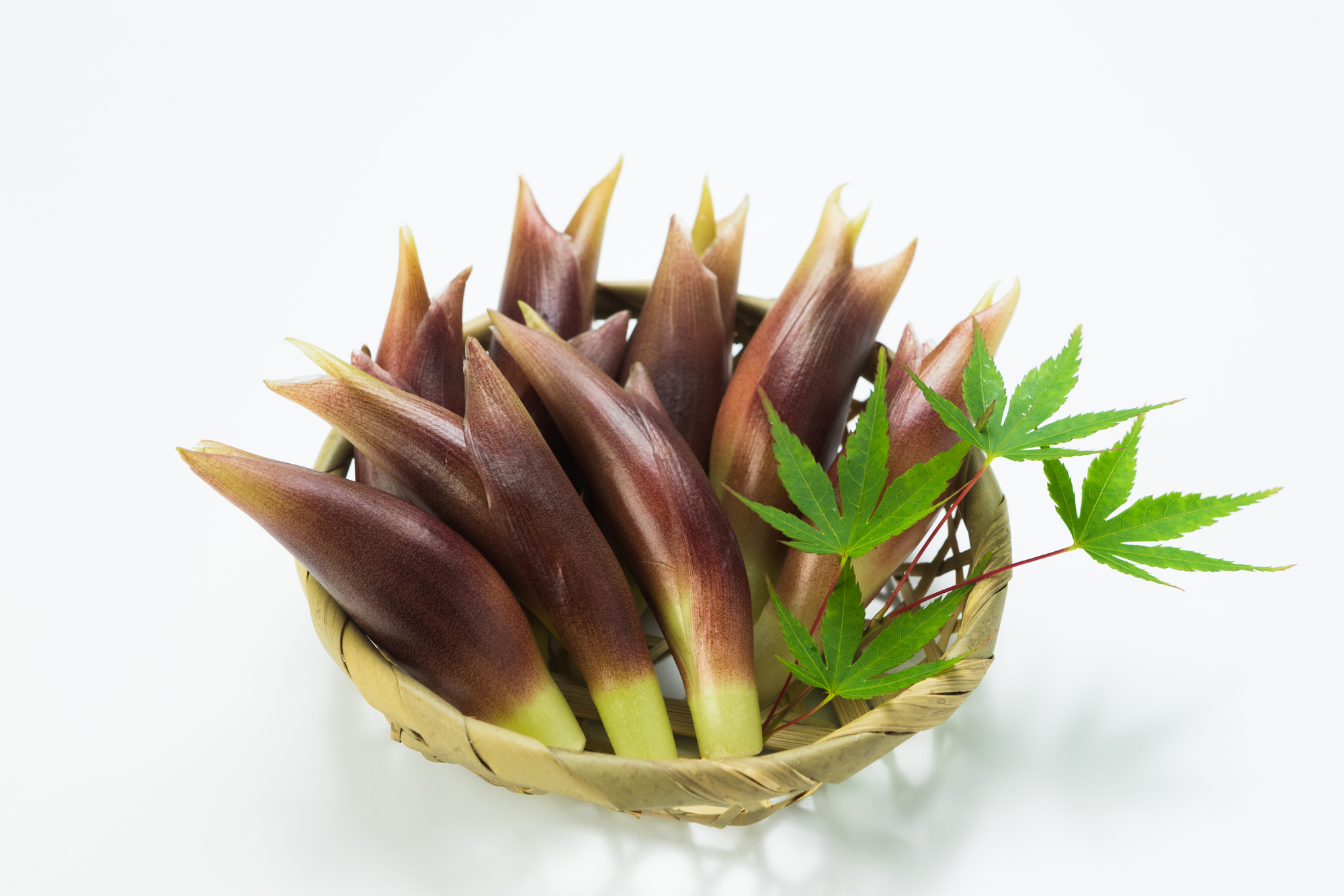 夏水仙 ナツズイセン3年ぶりに咲いた。 もうダメだと思っていたら、 忘れた頃に、 久々、その姿を見せてくれた。 よくよく考えると、毎年、春には元気よく葉は出て 育っていた。でも花は咲かない。この花、葉が枯れてから花が咲くツツジの陰で、日当たりが良く