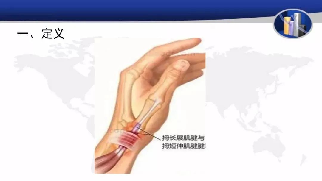腕橈骨筋の起始・停止・支配神経 brachioradialis 暗記用画像付き徹底的解剖学 かずひろ先生 解剖学