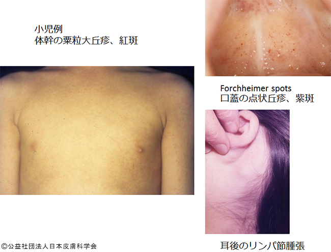 施設案内 くらしげ小児科