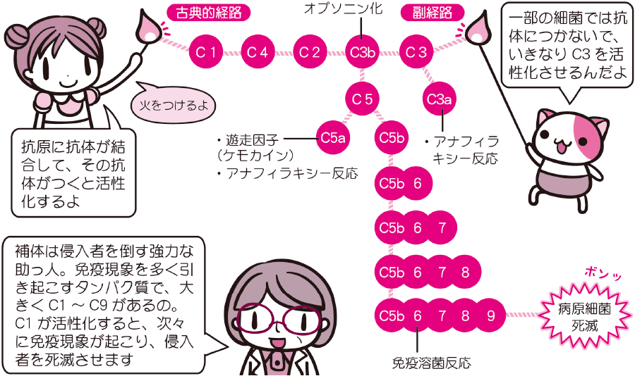 どうする？免疫グロブリンが効かない患者 2ページ目 ：日経メディカル