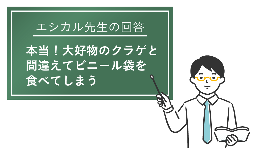 体内から大量のプラゴミがアオウミガメが知らせる海の危機 2021年7月20日放送「news every.」より
