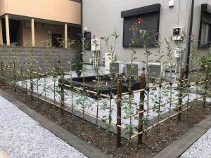 わが家の屋上緑化で補助金・助成金はもらえる？戸建ての屋上やマンションのルーフバルコニーを緑化するメリットSUUMOお役立ち情報