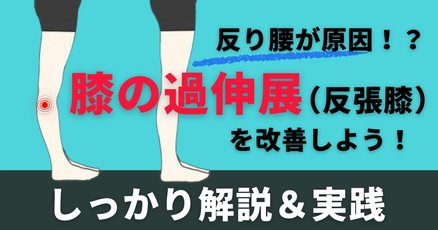 膝を地面にぶつけた＆膝を捻った：後十字靭帯損傷よくある症状・疾患札幌スポーツクリニック札幌市中央区の整形外科・内科・リハビリ科