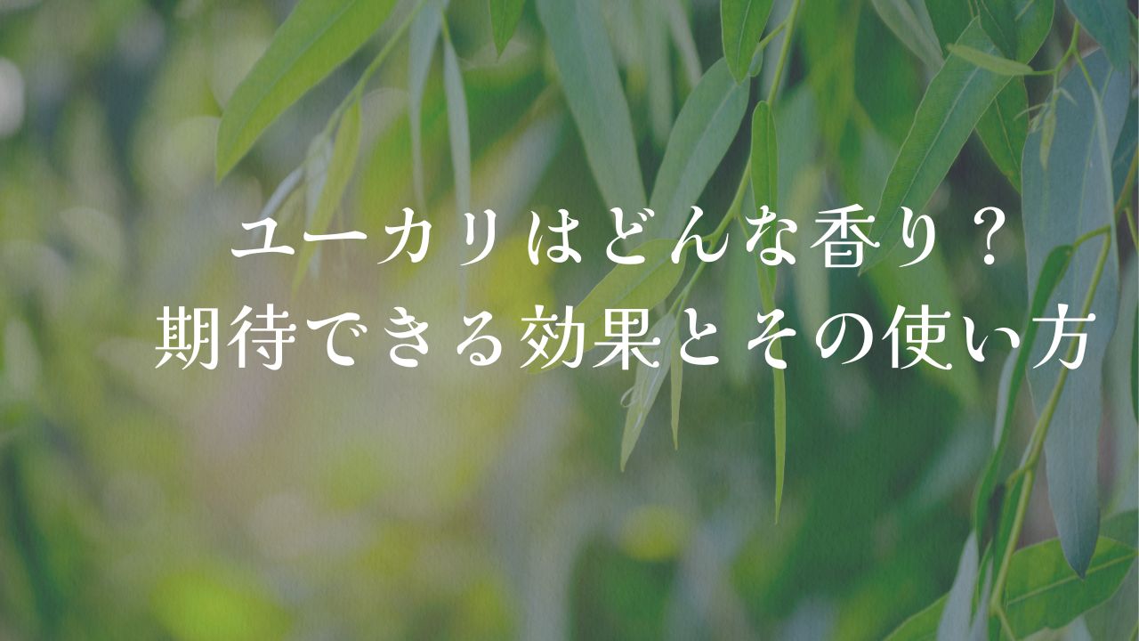 これ１本で制菌・消臭・掃除に活躍、ユーカリプタススプレーこんにちは。いつもありがとうございます。明日8 16土曜日と8 17日曜日はお休みを頂きます。ご迷惑をおかけしますが、どうぞよろしくお願いいたします。さて、本日のご紹介はオーブス 株 のユーカリプタス