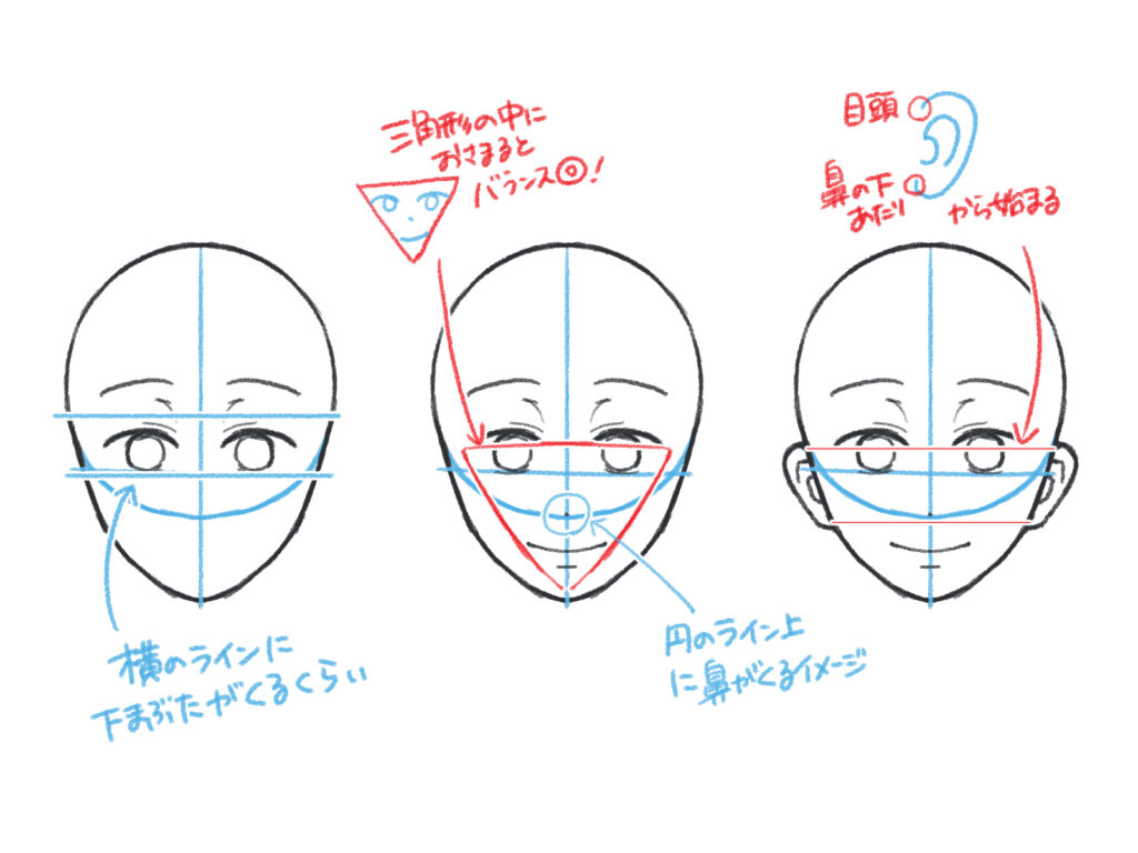 素体③ 頭部の描き方を考察してみたProcreate Illustration