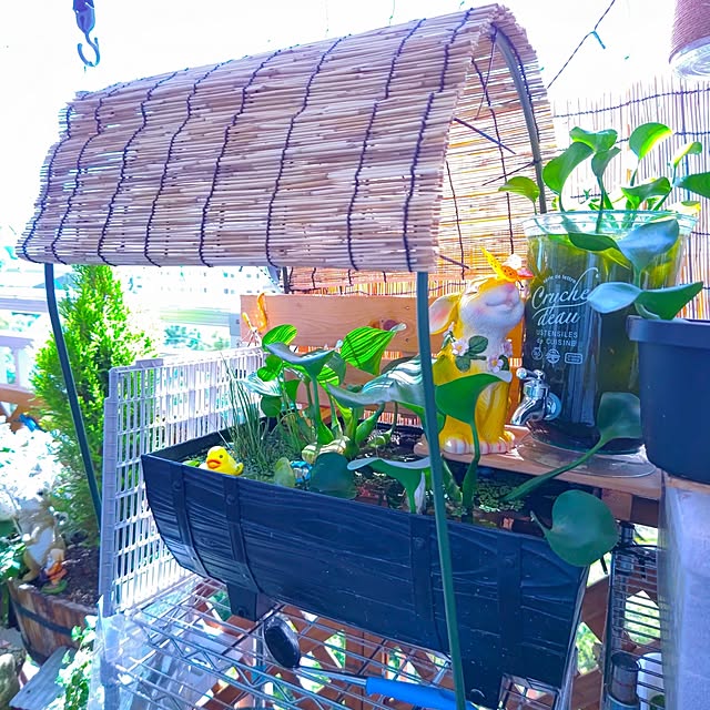 Amazon温室遮光ネット 園芸 遮熱ネット 日よけ シェード オーニング ,日除けネット 農業用日除けネット 園芸 遮光ネット、日よけシェード 抗紫外線ネット90% 遮光網 植物シェード 農業通風シェード 用 農業 温室 漁業 納屋 簡単設置 植物や花、庭下 廊下