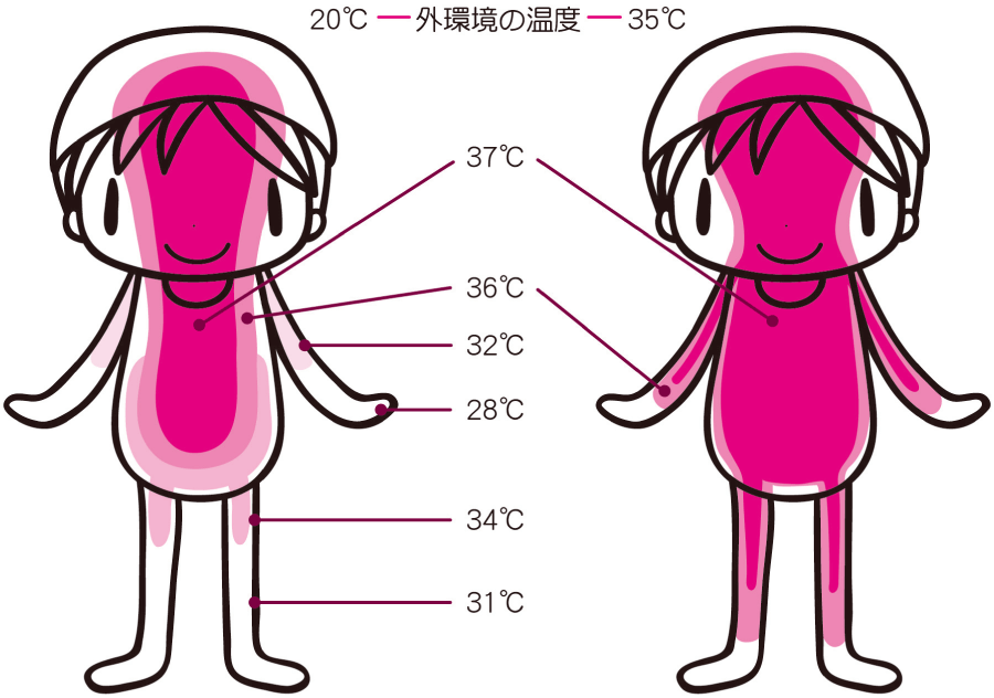 体温調節イラスト無料イラスト・フリー素材なら「イラストAC」
