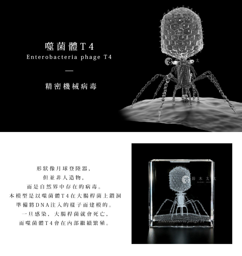 3Dウイルス バクテリオファージモデル ４タイプ- ショップByNEET - BOOTH