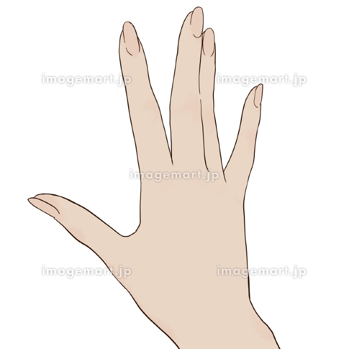 女性の手 11002048992 の写真・イラスト素材アマナイメージズ