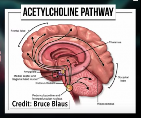 寝ながら スマホ スタンド コンパクト スマートフォン 頭部固定式 ヘッドセット 携帯電話固定 携帯電話ホルダー ヘッドマウントスタンド ヘッドマウント