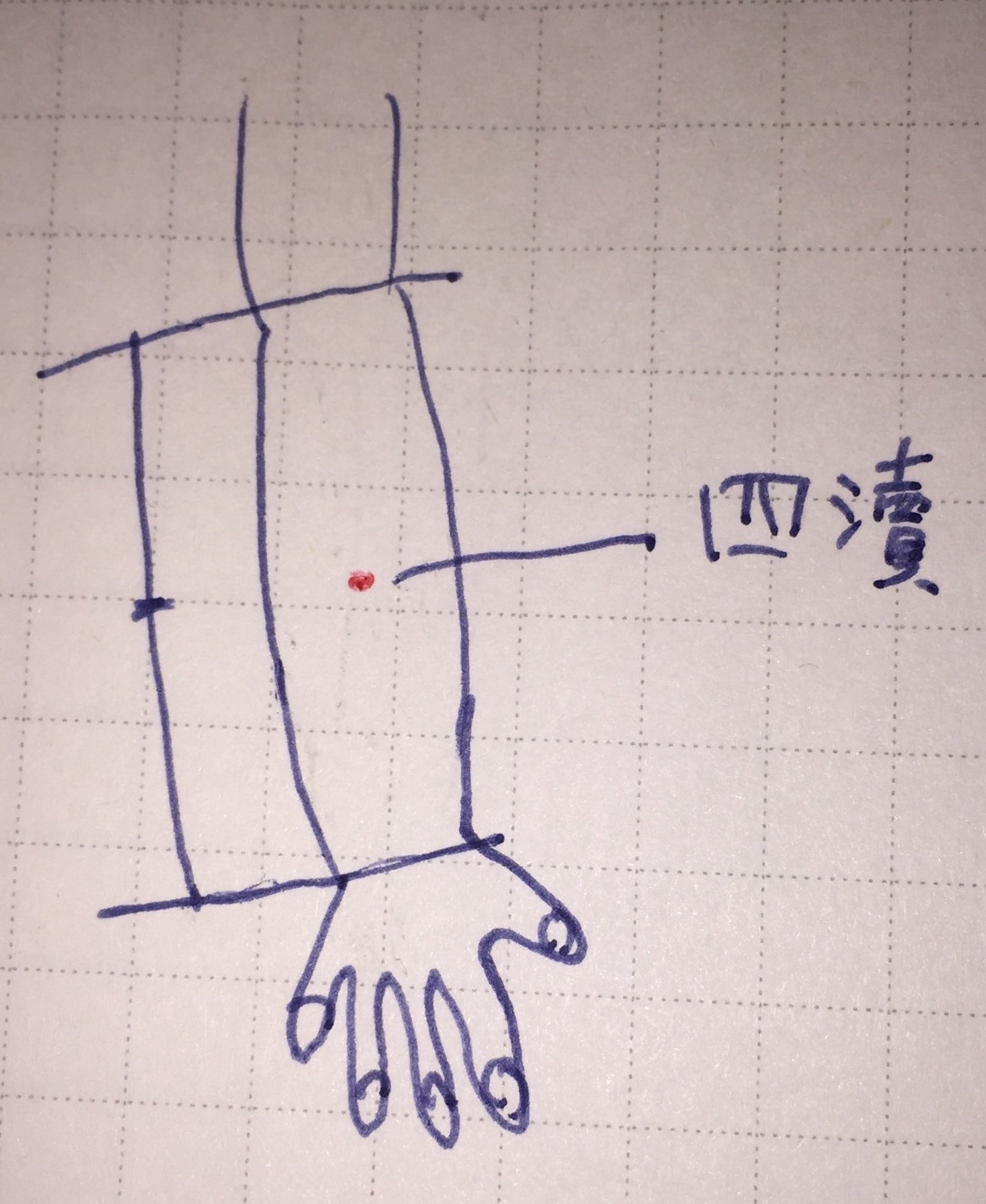 試してトクする〇〇のツボ その300「寝違え篇」アルファ医療福祉美容専門学校美容・鍼灸・柔整・保育・介護・福祉の国家資格取得