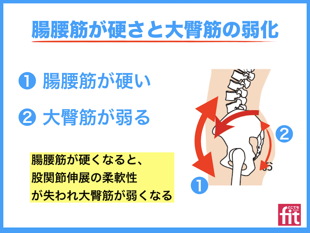 腸腰筋 ちょうようきん とは？場所・位置や英語などを人体解剖図で解説 - teamLabBody