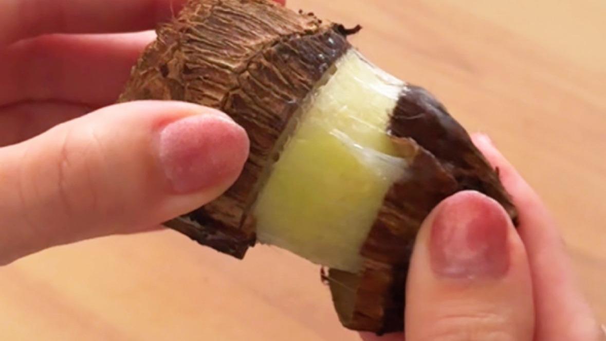 テレビ番組で紹介されて話題！手にはめて野菜をゴシゴシこするだけ！包丁もピーラーも使わずに皮をむける！「野菜の皮むきグローブ＜ムッキー＞」