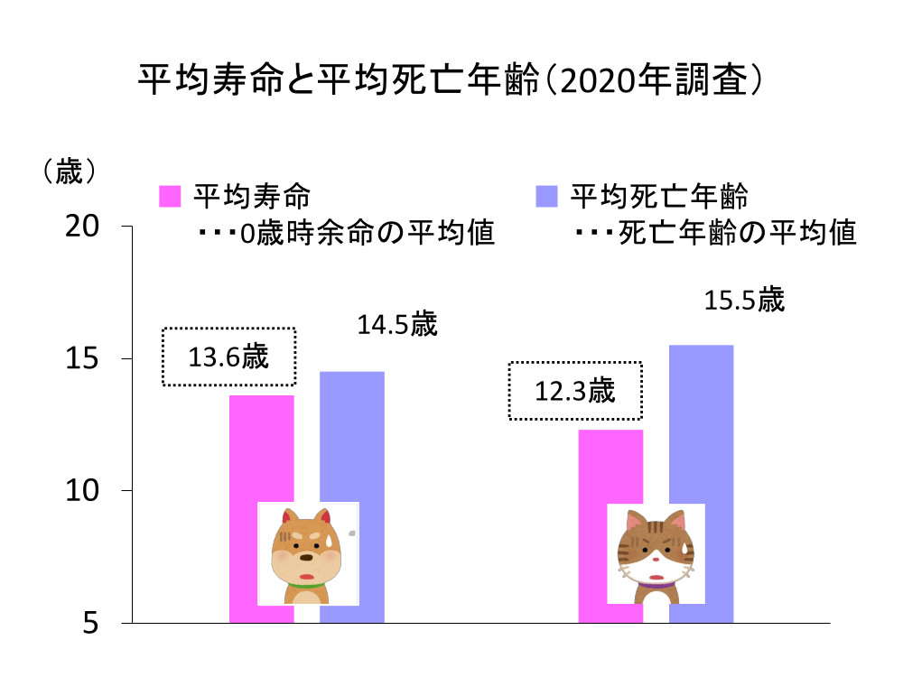 最近注目されている!? 犬猫の寿命が伸びる可能性のあるサプリメント