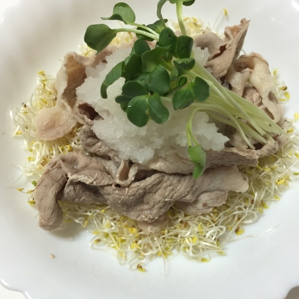 ダイエットレシピ 低糖質高タンパクTikTok