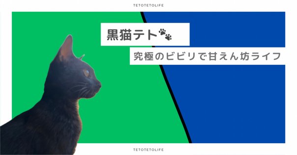 ♡フェリウェイ拡散器対応 ねこフェロモンリキッド 48ml ×2本＋噴霧器 ♡