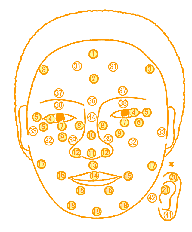 ほくろ占い 「「顔のほくろの位置で占う、あなたの運勢・恋愛タイプ2占い人相占いホクロ占い恋愛占い赤坂占い研究所ほくろほくろ占い ©音読さん