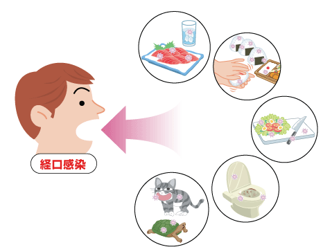 感染経路飛沫感染の図の説明 - イラストレーションのベクターアート素材や画像を多数ご用意 - イラストレーション, インフルエンザ菌, ウイルス -iStock