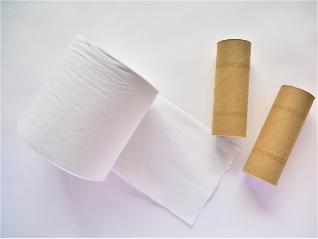 掃除しても臭い！」トイレ問題を解決 悪臭の原因と具体的な対処法- セーフリ