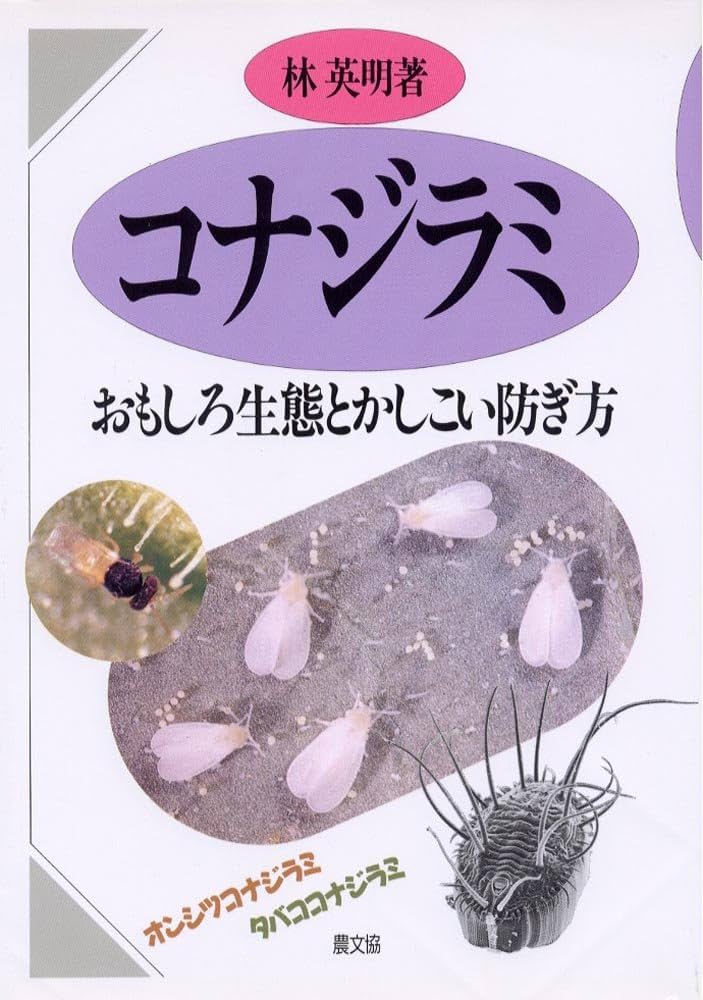注意報 トマト、ミニトマト、なすに「コナジラミ類」県北部地域で多発のおそれ 徳島県JAcom 農業協同組合新聞