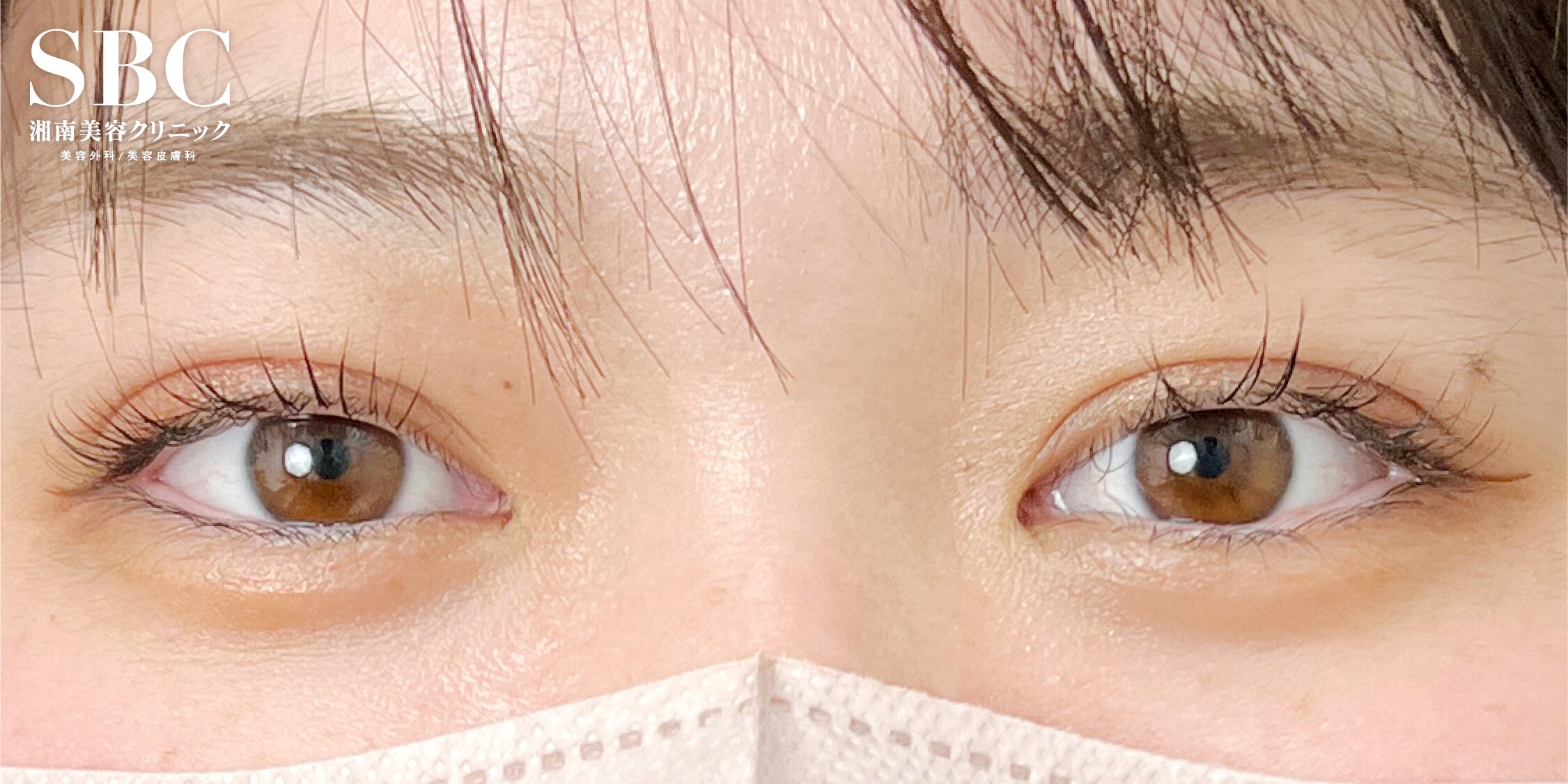 2025年の三重 まぶたのアイデア47選